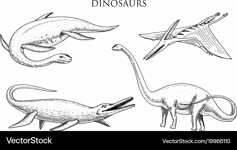 dinosaurs elasmosaurus mosasaurus brontosaurus vector 19966110