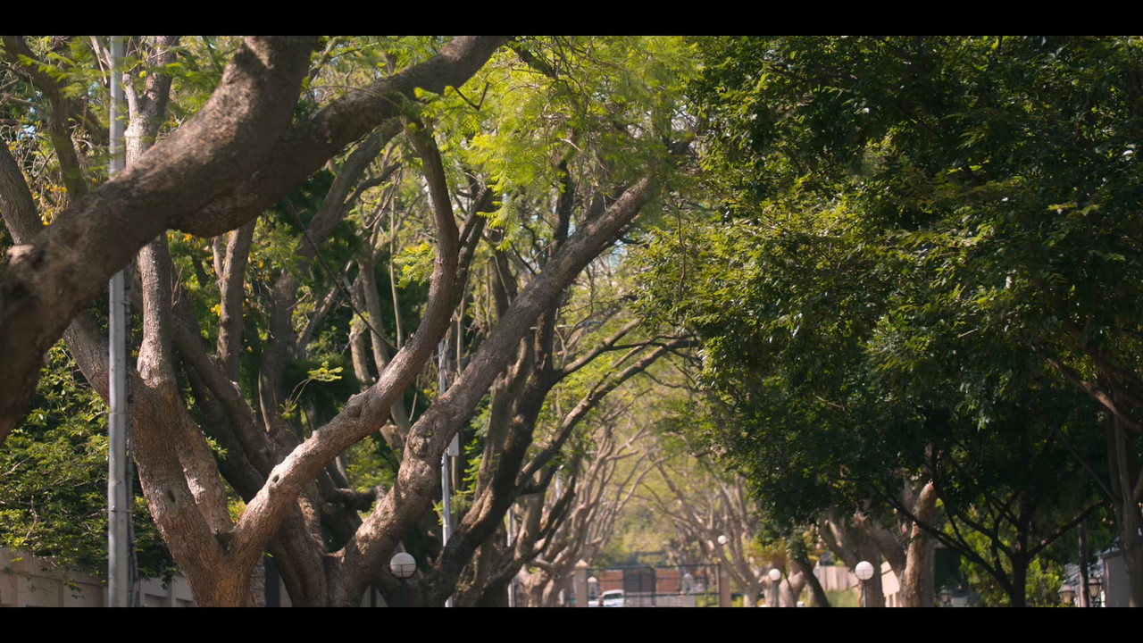 Happiness.Is.2024.NORDiCSUBS.1080p.WEBRip.10Bit.x265-SWAXX.mkv.0001