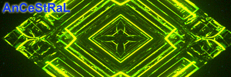 ancest-03.gif