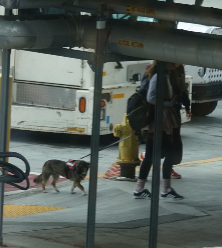 emmawatson-photogallery.blogspot.com (33)