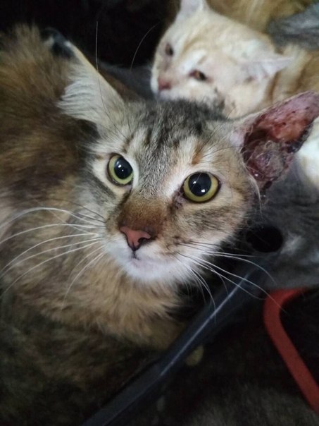 4A88783B-CAFA-46F4-B3A2-DEEEC8CACAD1