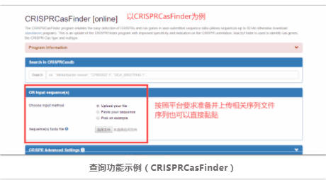 CRISPR–Cas-2.png