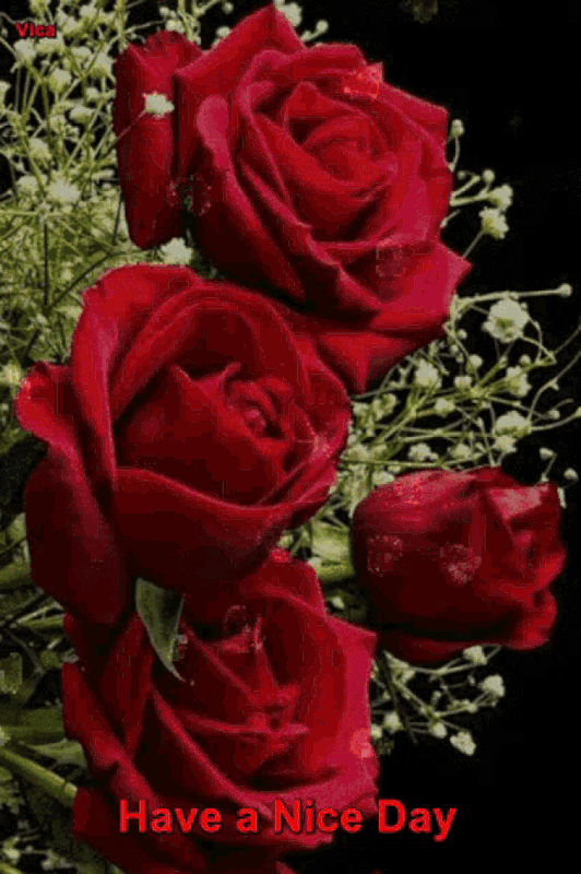 An den Beitrag angehängtes Bild: https://i.postimg.cc/dV5tNm3Y/oie-2463039-H9vw9b1-Q.gif