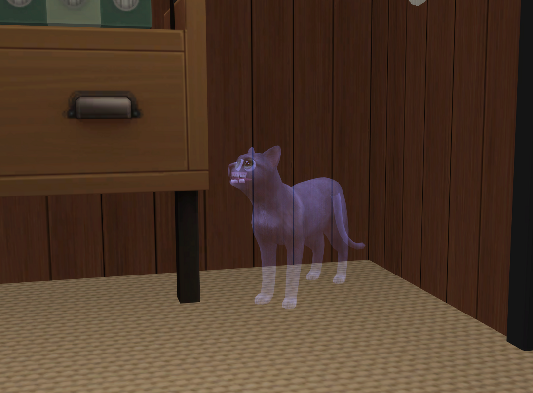 ksnip-20250810-144116