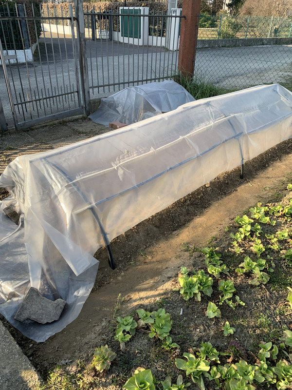 4632216B-0707-4716-A3BD-6C26A36176B7