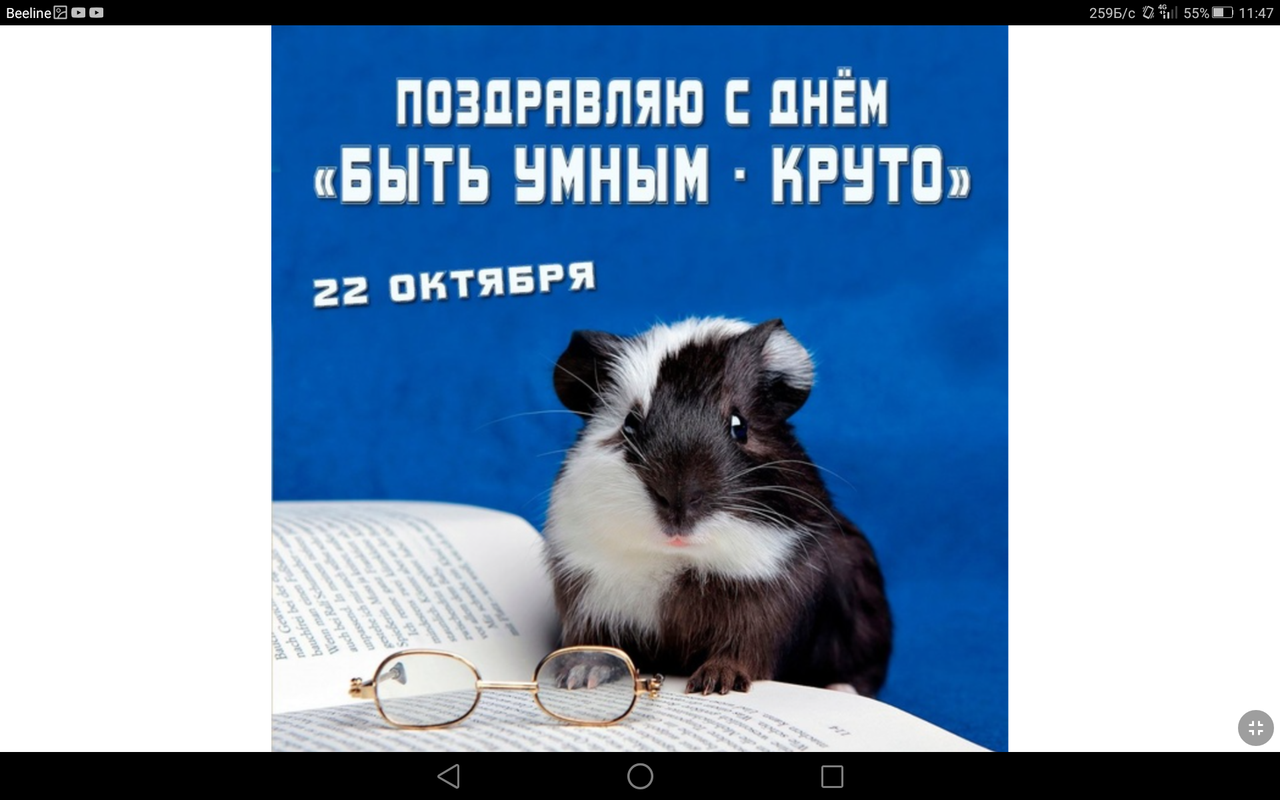 Screenshot_2023-10-22-11-47-45