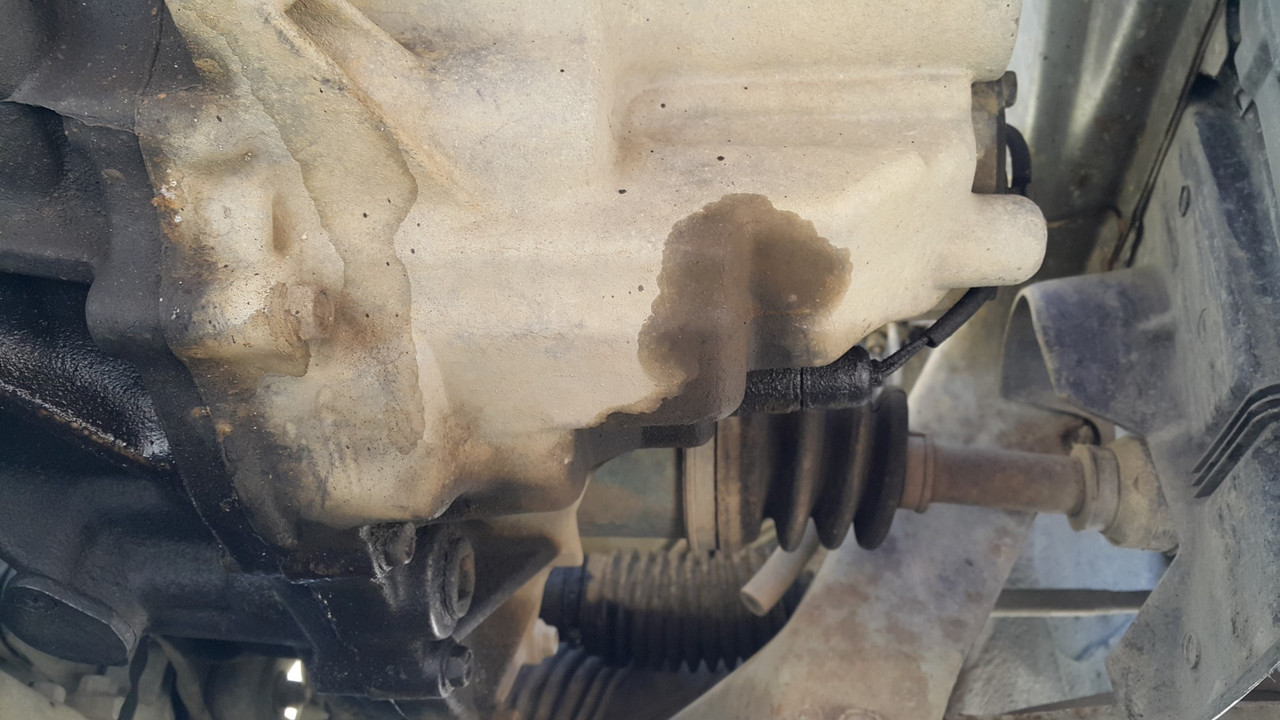 20201001_130353 (Large)