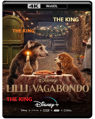 Lilli e il vagabondo (2019) WEBDL 2160p x265 HDR E-AC3+AC3 ITA ENG