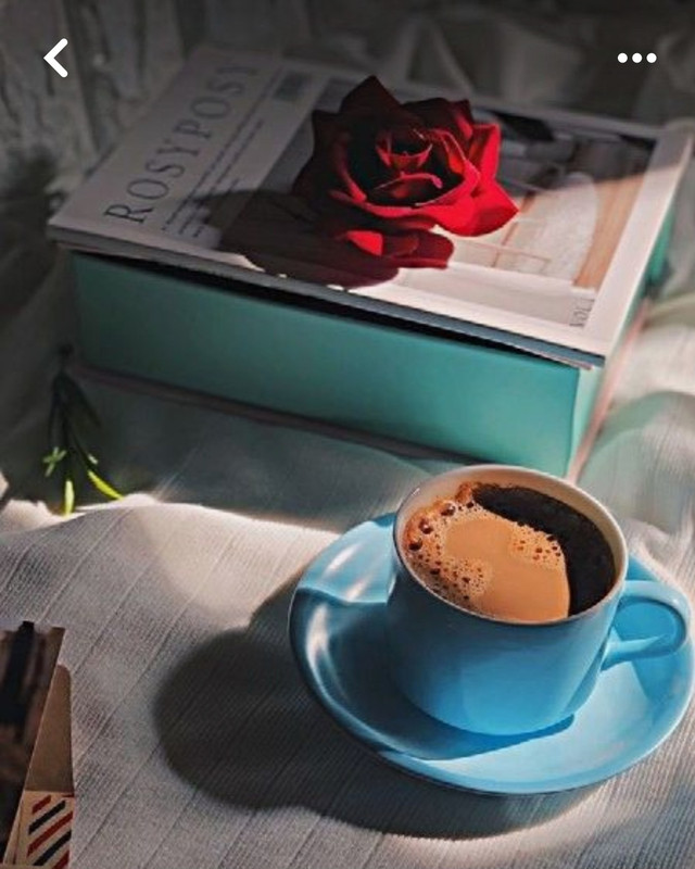 Screenshot_20240712_231135_Pinterest