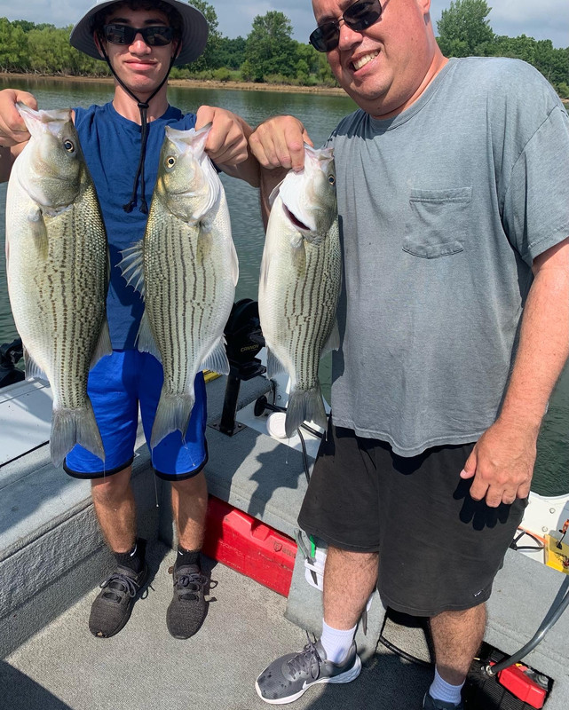 01447512-DF16-4125-BEA9-02BD84F7BD0C