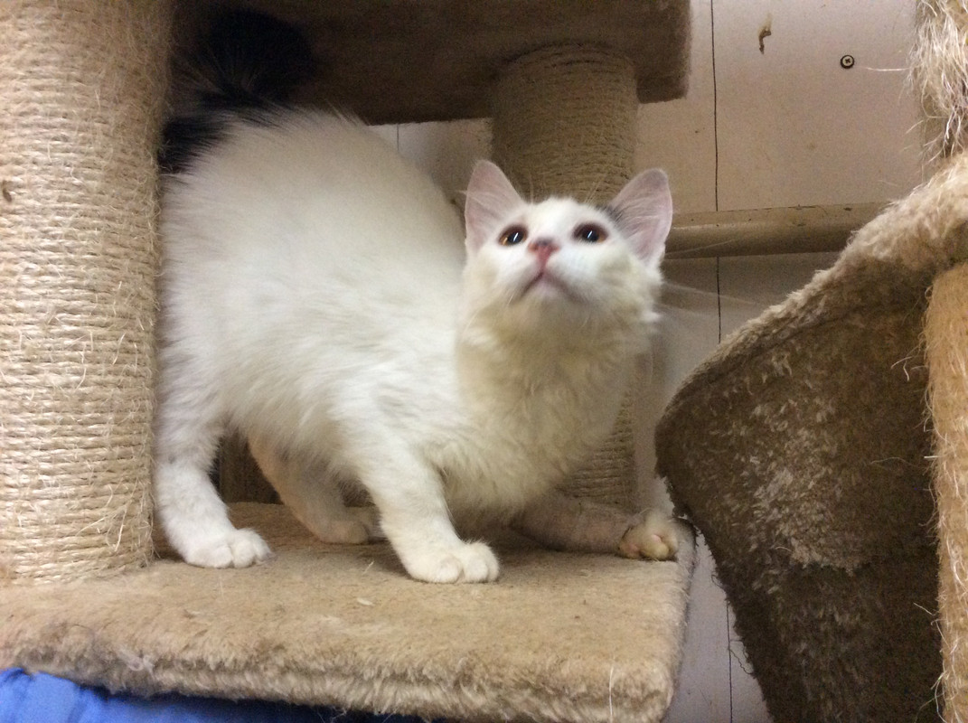 C8ECCCDE-39CD-45ED-9CBA-454D8E30653D