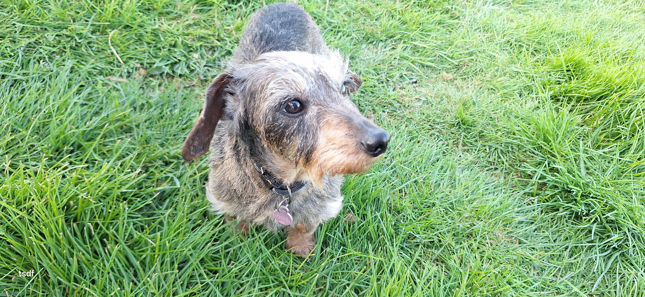 [Image: 20250411-185029.jpg]