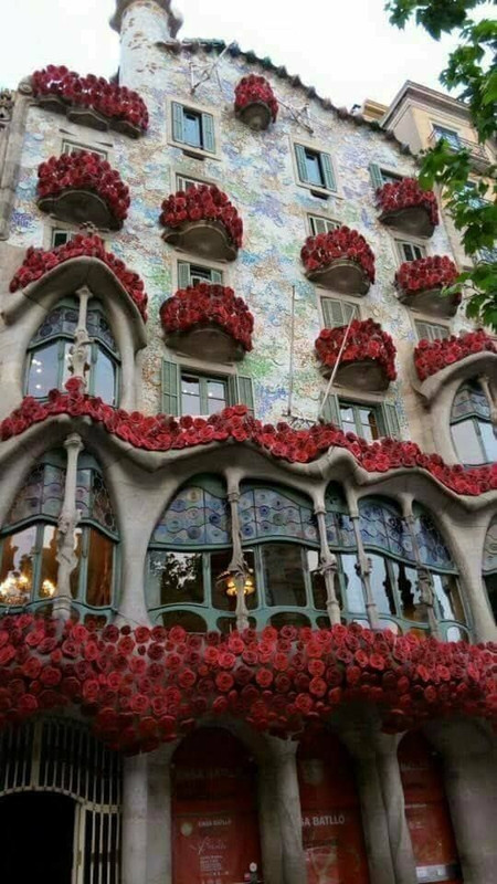 redflowersbarcelona.jpg