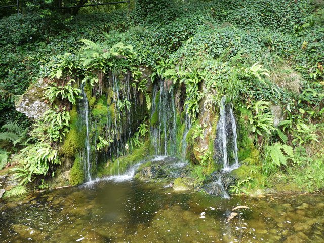 10 días por Irlanda en verano de 2024 - Blogs de Irlanda - DÍA 5 – Castillo Blarney – Parque Nacional Killarney (14)