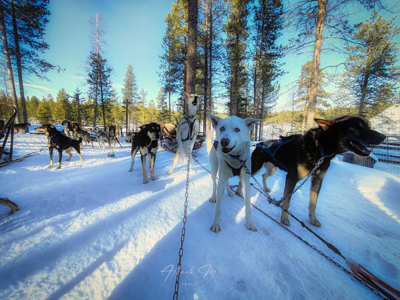 PARTE II - Auroras - 3.er reportaje por Laponia norte - Marzo 2025 (10)