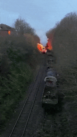 hornoxe-com-gifdump426-5.gif