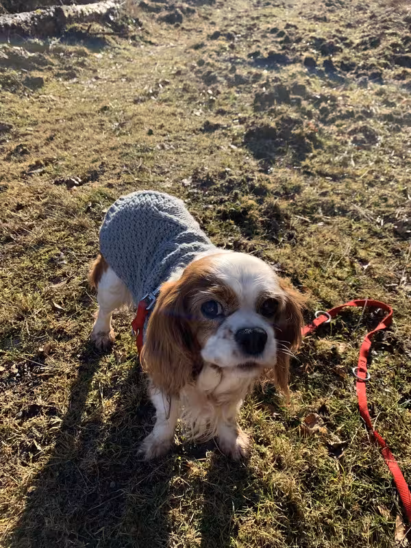 3D8F5153-0D61-4079-A8E1-4B90FC3FB011