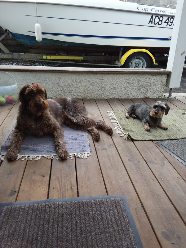 [Image: 20210725-103159.jpg]