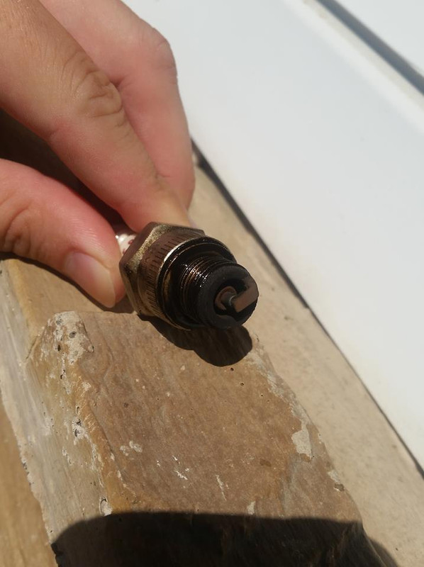 40183491_470828576734978_8740907588717117440_n