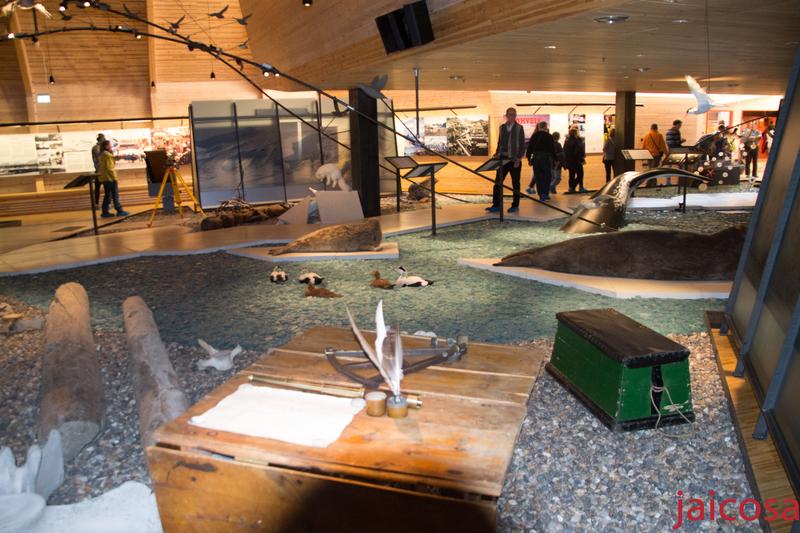 Noveno y décimo día. Longyearbyen-Navegación. - Minidiario de Bitácora VII .Expedición al Círculo Polar Ártico. Julio 2018 (9)