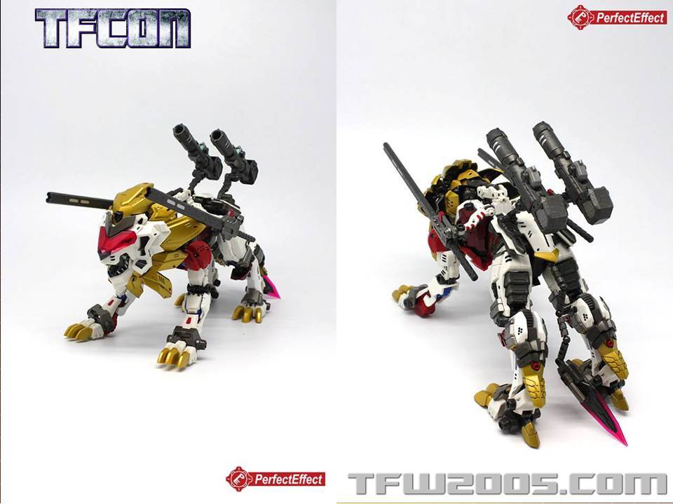 TFCon-USA-2015-328