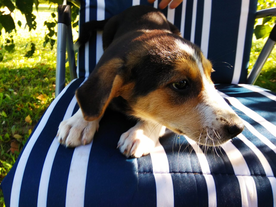 изображение_viber_2019-08-24_17-13-22