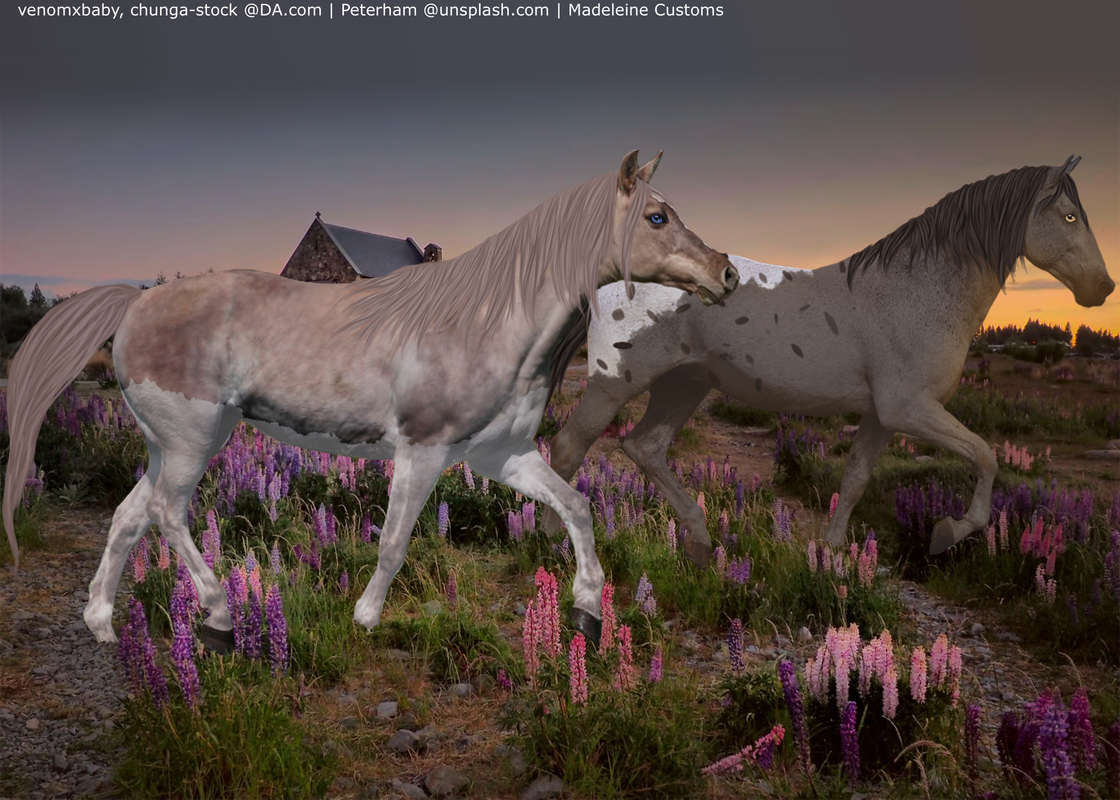 11F5E29F-77AC-43FA-A7E2-C6DB9E37F053