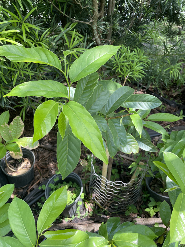 12065E0C-4CA6-48AA-A01F-B681A2382752