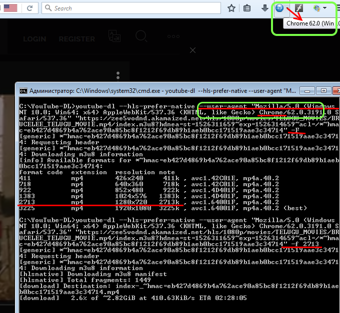 Безымянный1