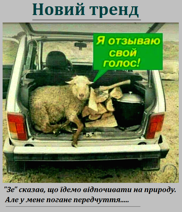 Главные новости 2 июня: Повышение пенсионного возраста, у Шария арестовали имущество - Цензор.НЕТ 1367
