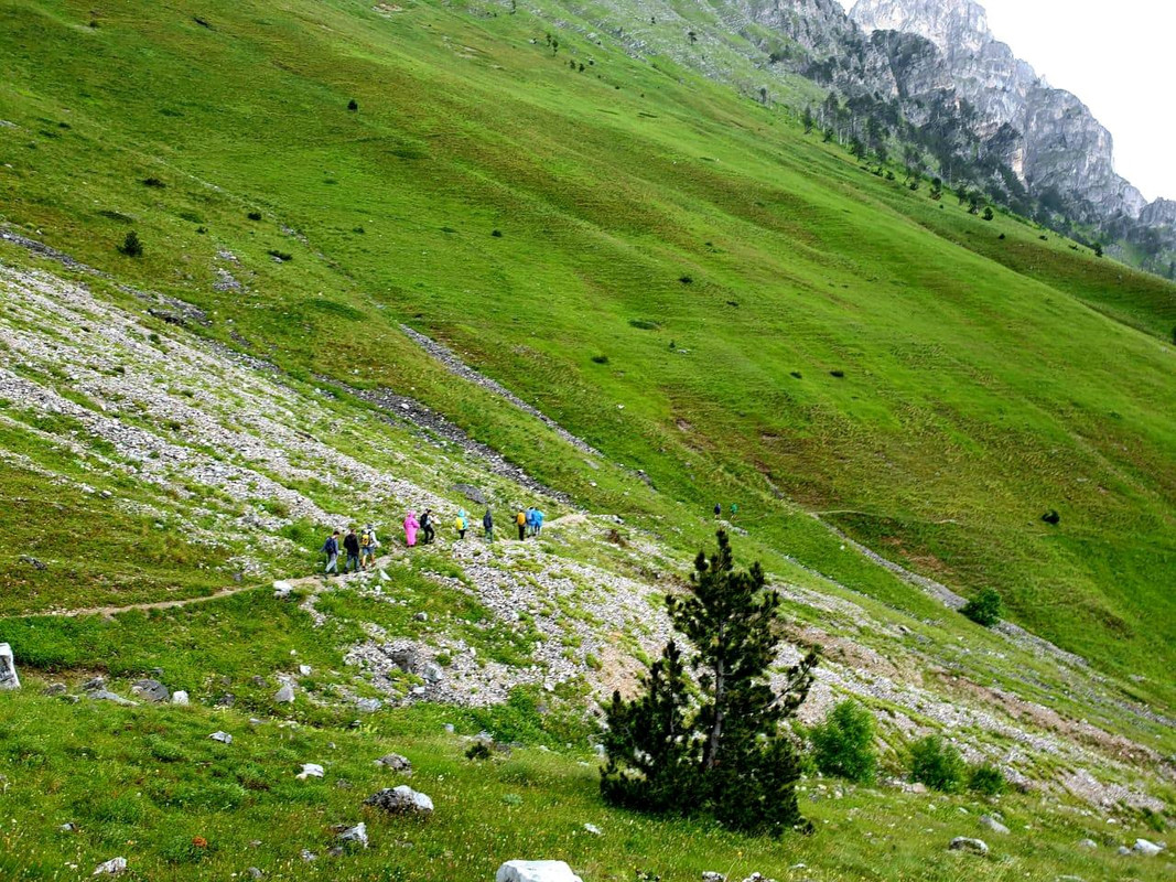 image_63cd28d8-0ee4-4423-99b8-243998e53ebf20200807_114307