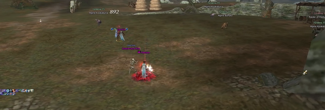 5.png