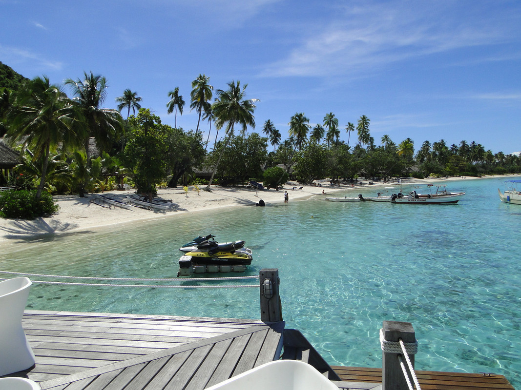 Polinesia, nosotros y la visión del paraíso. - Blogs de Polinesia Francesa - 2° Etapa: MOOREA. (6)