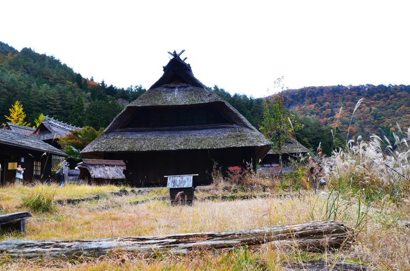 Saiko Iyashi no Sato Nenba-16-11-2024 - Japón y sus Pueblos-2024 (12)