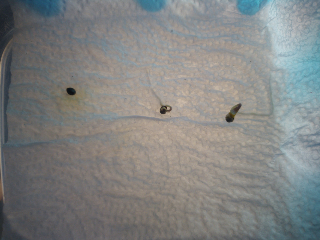 HC_20230102_121215_null