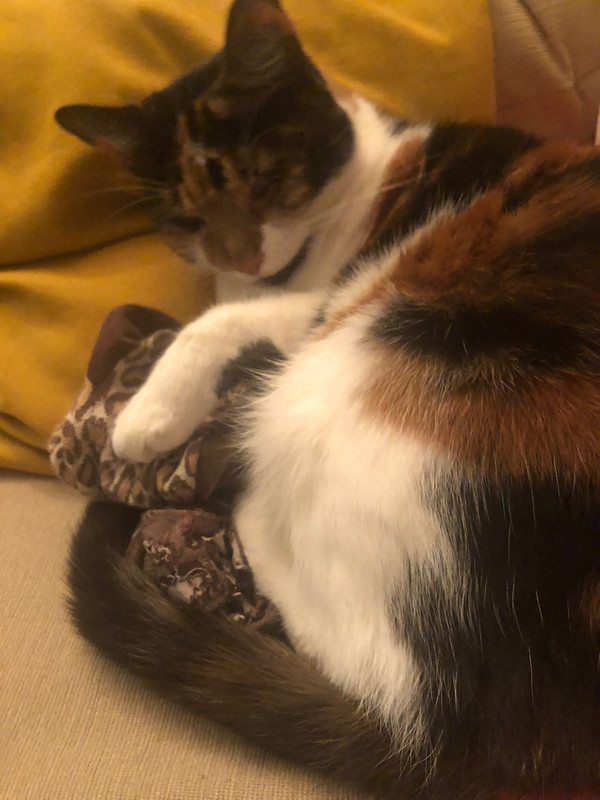 950FFA72-D0F4-475D-BA6F-940861C8646F