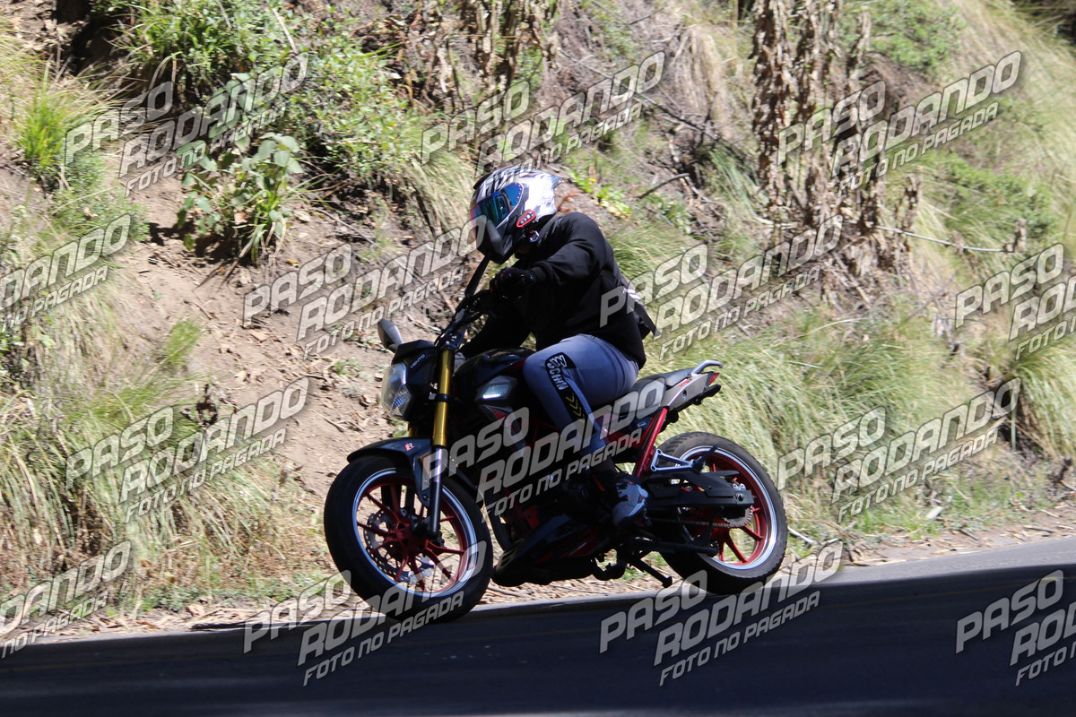 IMG 5747 wm 7707223 6 watermarked — Postimages