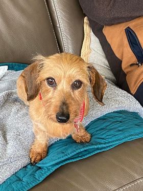 [Image: 277886228-1405288483263811-5139904556534720064-n.jpg]