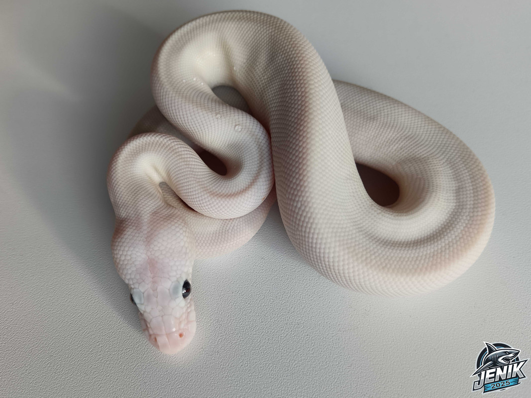 IMG_20250714_184400а