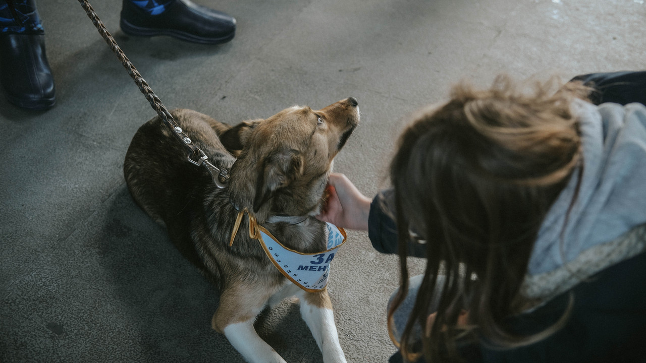 465C6DF8-3829-4EB0-B566-6F292EFD4E69