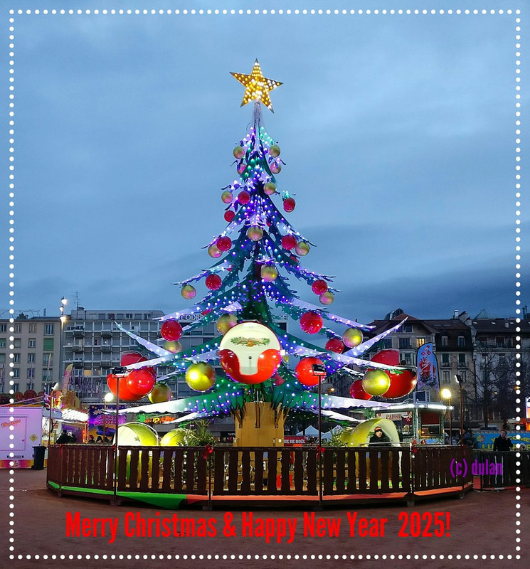 [Image: IMG-20241218-211629.jpg]