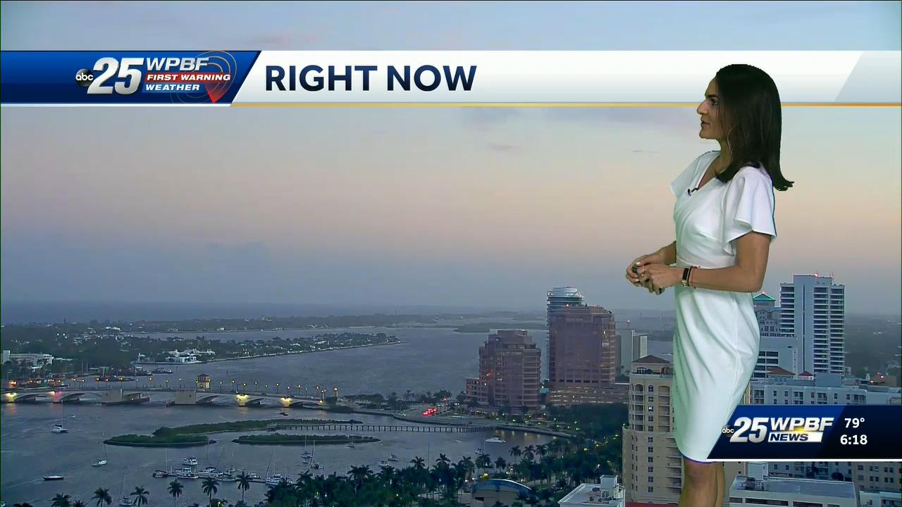 02.13 - 22.00.00 - WPBF 25 News at 5 00 p.m._001.ts_snapshot_05.30_[2021.02.14_00.26.51]