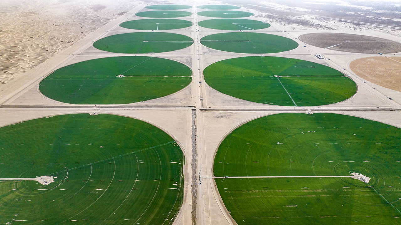 Песчаные земли превращаются в плодородные поля: на окраине пустыни Такла-Макан появились «зелёные круги».