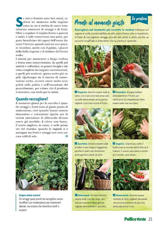 Pol Ver Lug 2023 (6)