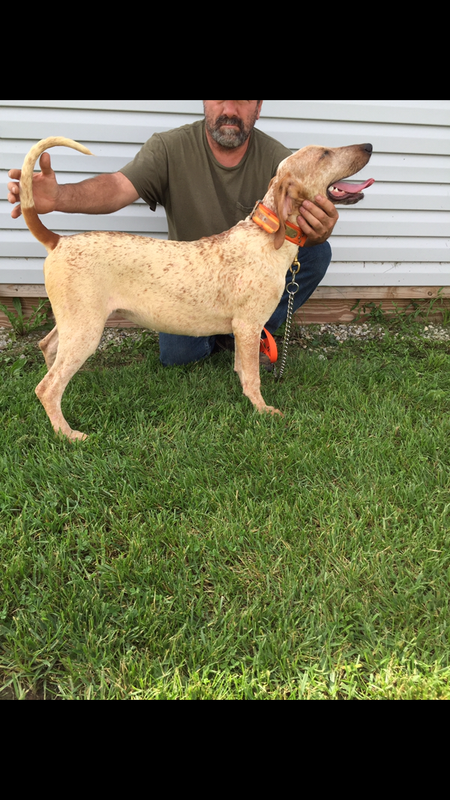 358DF562-D778-4973-A124-9563BC71F089