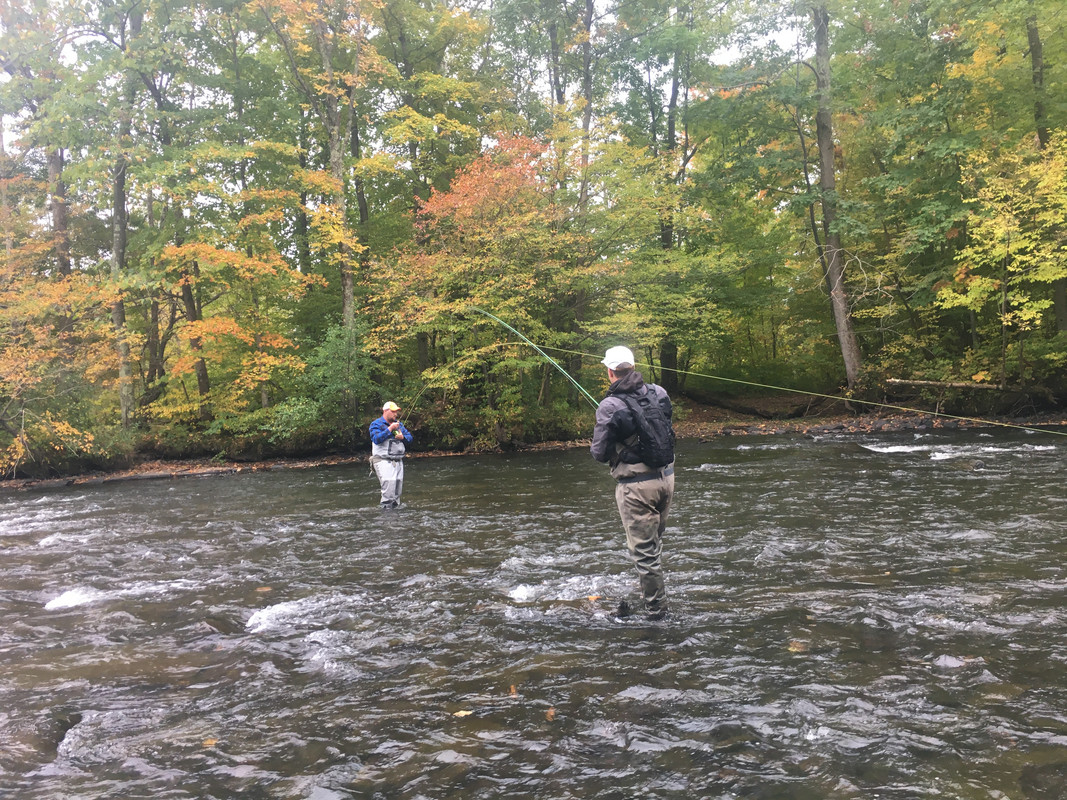 94B0E0FF-11F2-48AF-9FE2-A1A2A70B6E1A