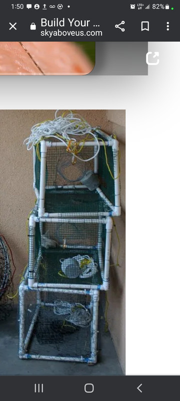 Screenshot_20230327-135035_Chrome