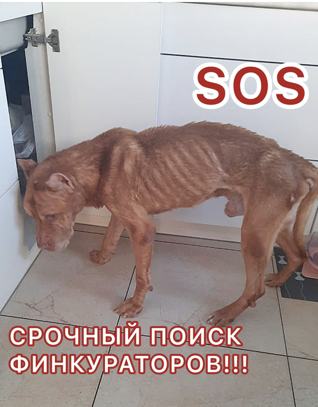 Снимок экрана 2024-07-16 в 12.22.55