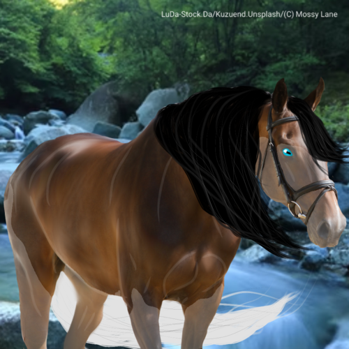 imageedit_1_6162159817.png