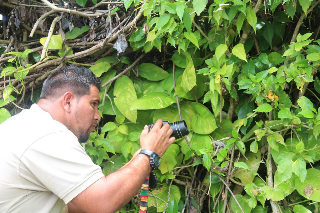 DÍA 5: PARQUE NACIONAL CAHUITA - DE TORTUGAS Y PEREZOSOS. COSTA RICA 2019 (22)